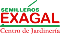 logotipo-exagal-evento