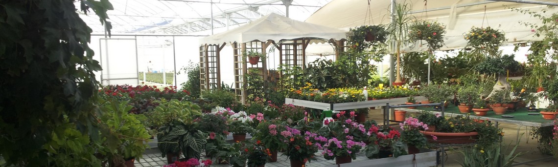 garden-center